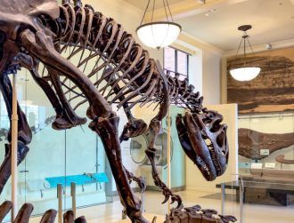 How can collagen survive in dinosaur fossils for millions of years?