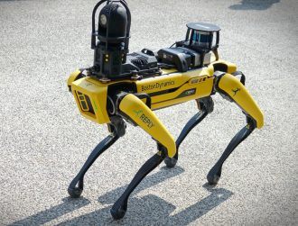 Engineering the future from robot dogs to space exploration