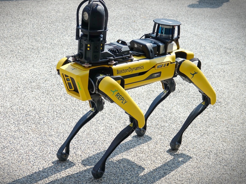 A yellow Boston Dynamics robot dog walking on tarmac in the sunshine.