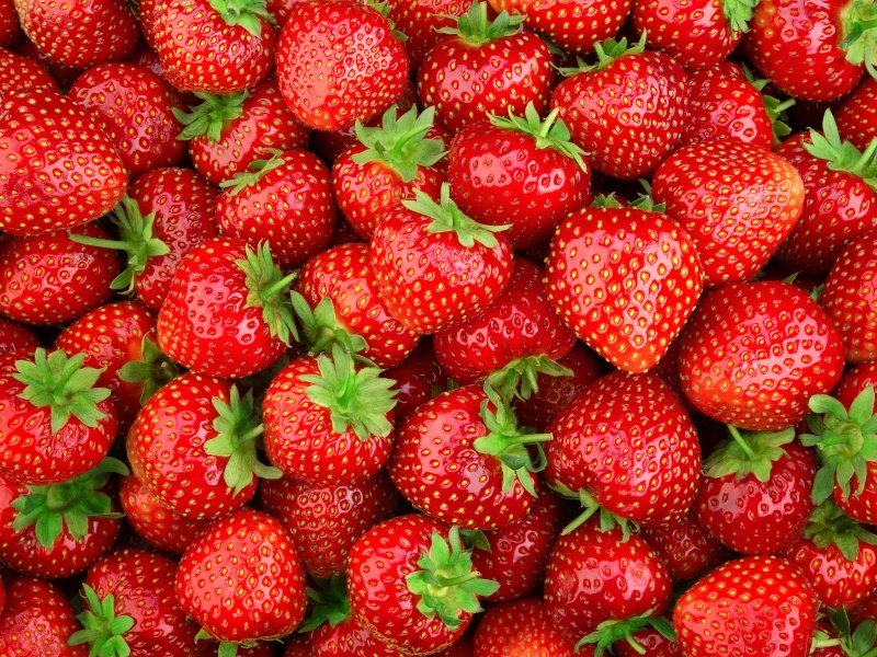 A close-up of lots of bright red strawberries.