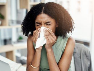 Office survival guide: How to avoid getting sick at work