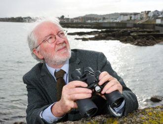 Ireland’s marine ecosystems get €25m to protect biodiversity