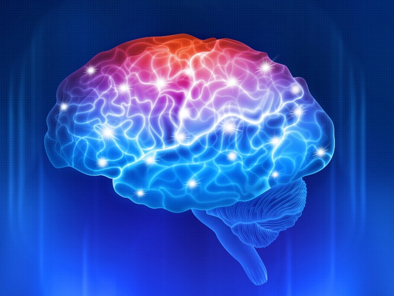 An image of a human brain with various white lights shining in different points. The top is red and fades to blue lower down.