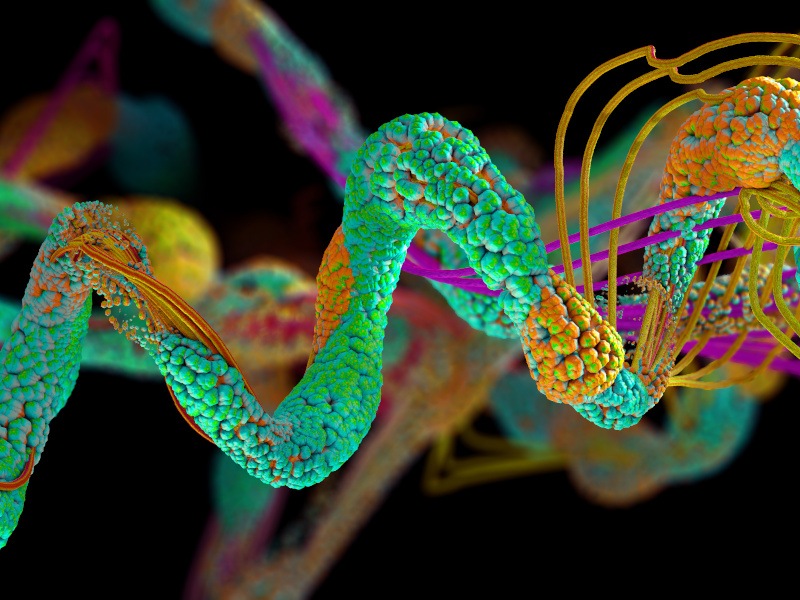 A colourful illustration of a string of amino acids, the building blocks of protein.