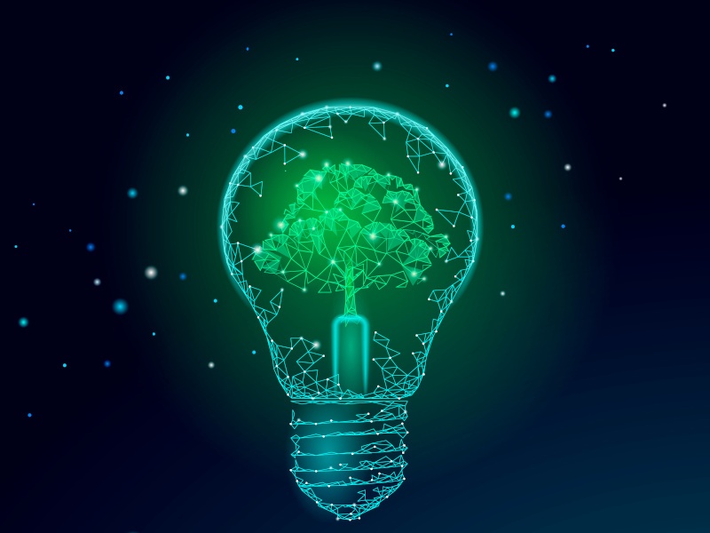 An illustration of a blue lightbulb floating with a green tree inside. All are drawn in the style of a network of line connections.