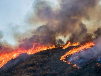 Dryad Networks raises €6.3m to drive wildfire prevention tech