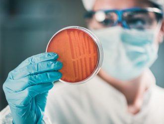 UCD research offers potential for new ways to fight MRSA superbug