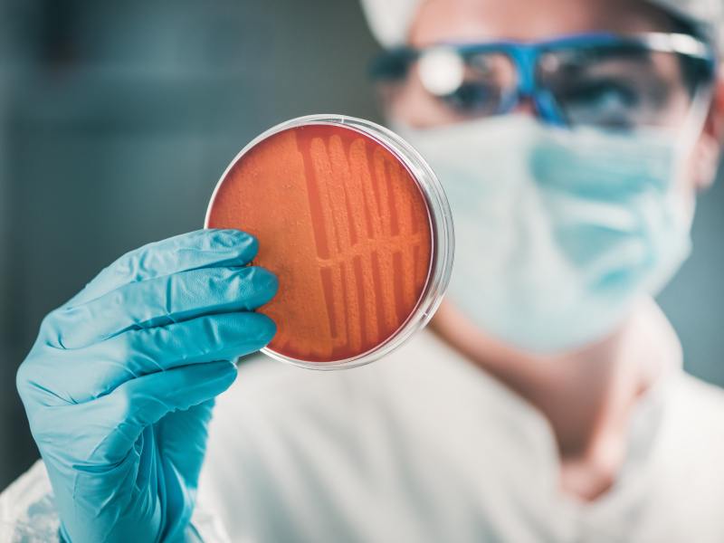 A person in protective scrubs, goggles and blue rubber gloves inspects a petri dish with orange material inside of it.