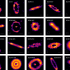 REASONS why scientists observe exocomets