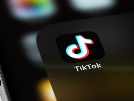 TikTok says sale to Musk ‘pure fiction’