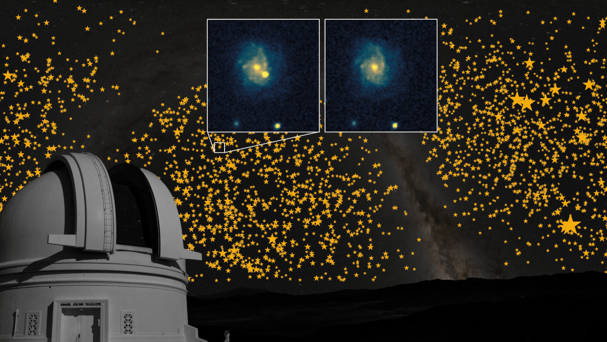 An illustration of white dwarfs observed in survey with an inset pair of images of before and after a supernova exploded.