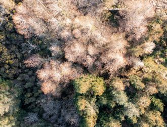 How do gamma rays help scientists find more peat in Ireland?