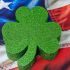 7 Irish start-ups that are thriving in the US