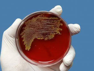 Antibiotic-resistant bacteria can hide in human cells, says new study